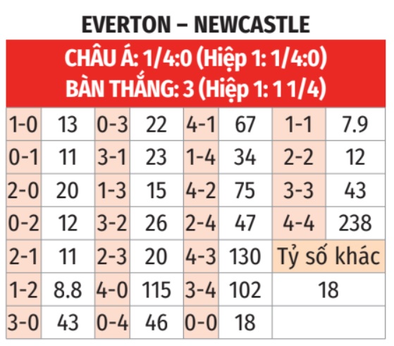 Trực tiếp bóng đá ngoại hạng Anh Everton vs Newcastle - 3